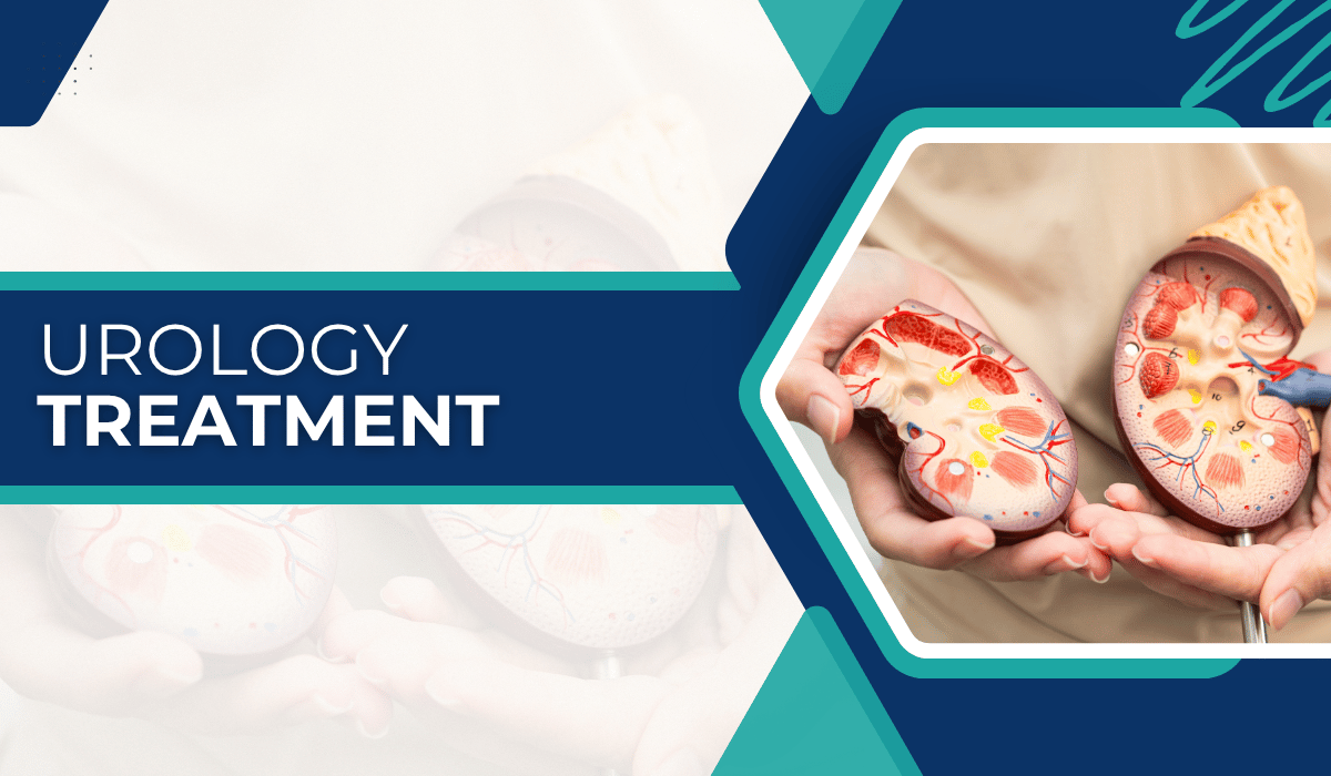 Urology treatment with kidney models Urology Treatment in Turkey