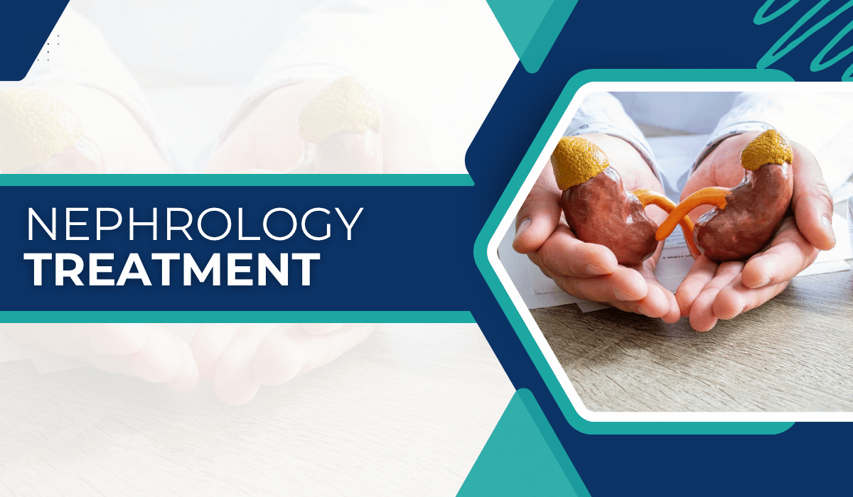 Hands holding model of kidneys Nephrology Treatment in Turkey