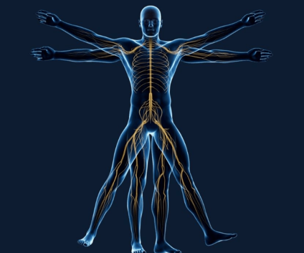 Spinal Cord Stimulation for Chronic Pain