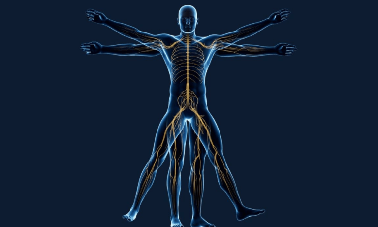 Spinal Cord Stimulation for Chronic Pain