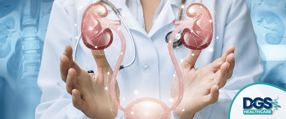 Doctor presenting kidney health concept Urology Treatment in Turkey